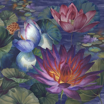 Framed Moonlit Lily Pond Print