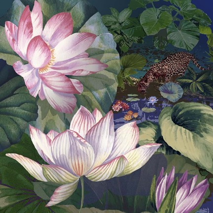 Framed Jaguar Lily Pond Print