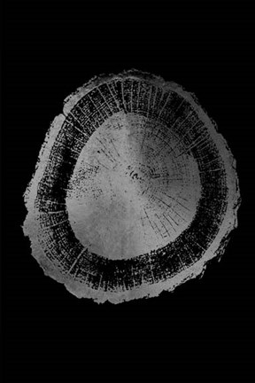 Framed Silver Foil Tree Ring II on Black Print
