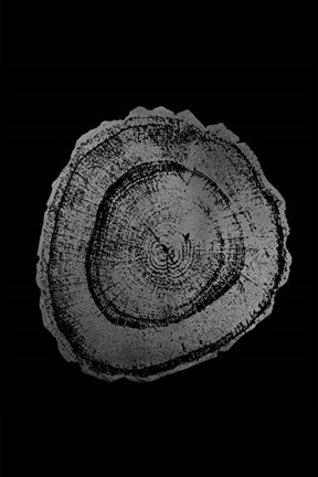 Framed Silver Foil Tree Ring III on Black Print