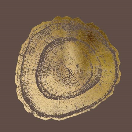 Framed Gold Foil Tree Ring III on Bitter Chocolate Print
