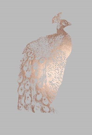 Framed Rose Gold Foil Peacock II on Grey Print