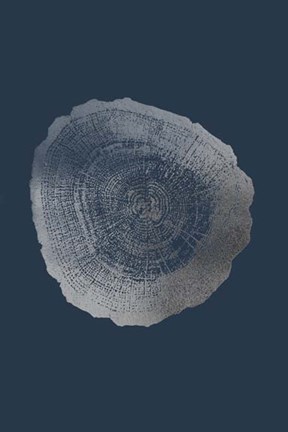Framed Silver Foil Tree Ring IV on Cobalt Print