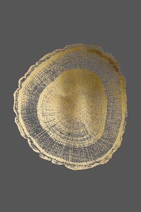 Framed Gold Foil Tree Ring I on Dark Grey Print