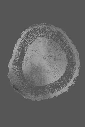 Framed Silver Foil Tree Ring II on Dark Grey Print