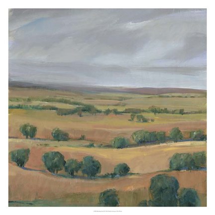 Framed Brooding Storm II Print