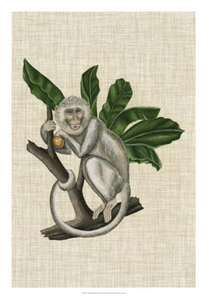 Framed Canopy Monkey II Print