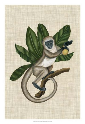 Framed Canopy Monkey III Print