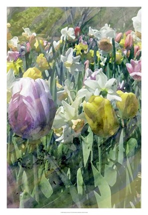 Framed Spring at Giverny II Print