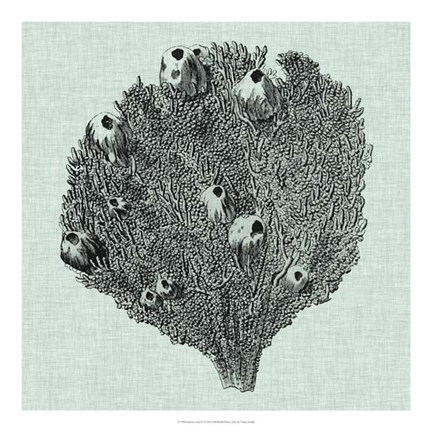 Framed Serene Coral IV Print