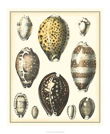 Framed Of Sea and Shore I Print