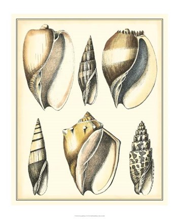 Framed Of Sea and Shore V Print