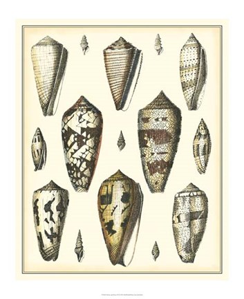 Framed Of Sea and Shore VI Print