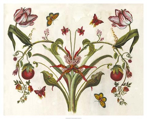 Framed Botanical Hybrid II Print