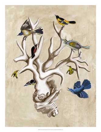Framed Ornithologist&#39;s Dream II Print