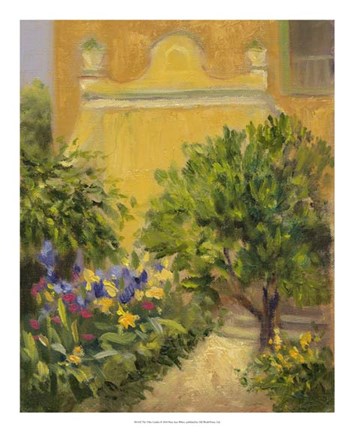 Framed Villas Garden Print