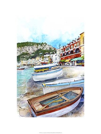 Framed Isle of Capri, Italy Print