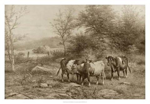 Framed Grazing Cattle Print