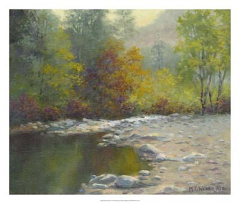 Framed Quiet Reflection Print