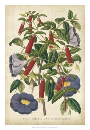 Framed Summer Medley I Print