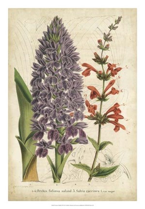 Framed Summer Medley III Print