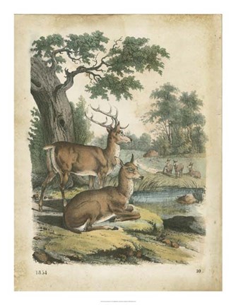 Framed Nature&#39;s Gathering IV Print