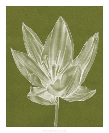 Framed Monochrome Tulip VI Print