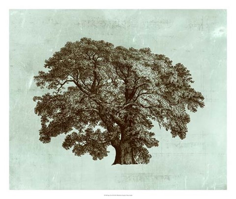 Framed Spa Tree II Print