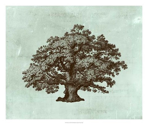 Framed Spa Tree III Print