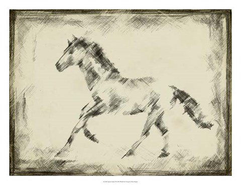 Framed Equine Study II Print