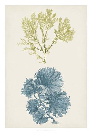 Framed Aqua &amp; Citron Coral I Print