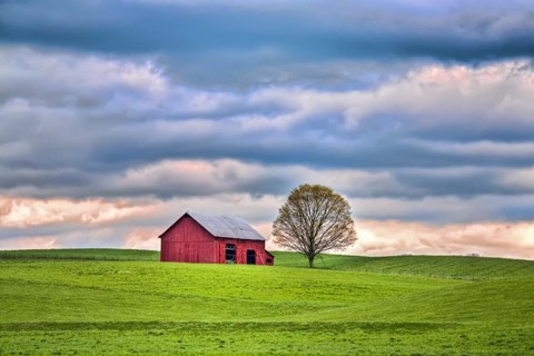 Framed Red Barn Print
