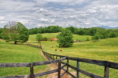 Framed horse farm Print