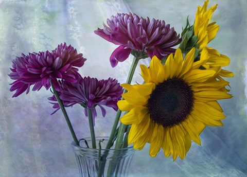 Framed Mums &amp; Sunflowers Print