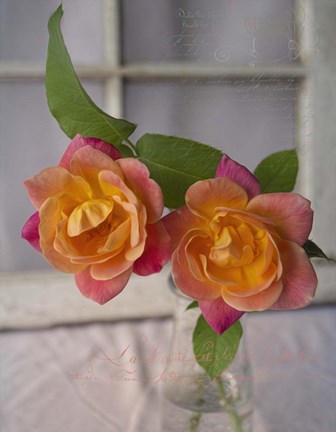 Framed Roses in a Vase Print