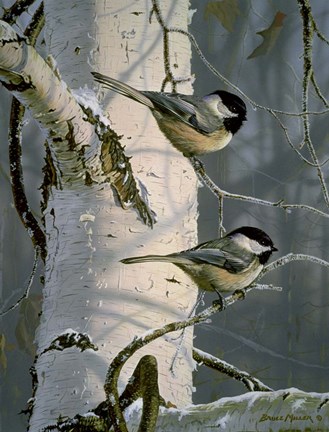 Framed Chickadees At Dawn Print
