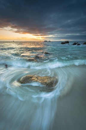 Framed Beauty Of The Sea Print