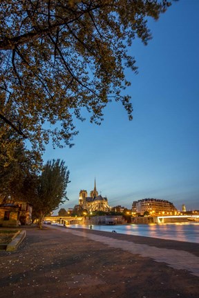 Framed All Lit Up Print