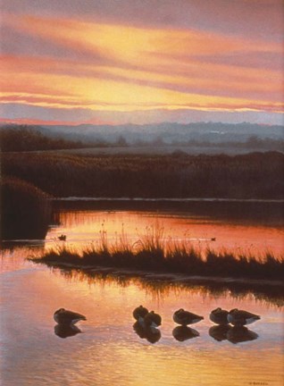 Framed Sanctuary Print