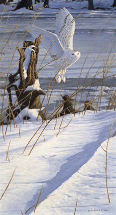 Framed Great White Hunter Print