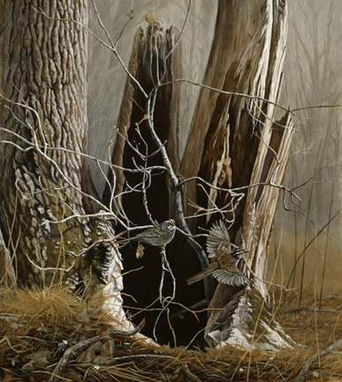 Framed White Throated Sparrows Print