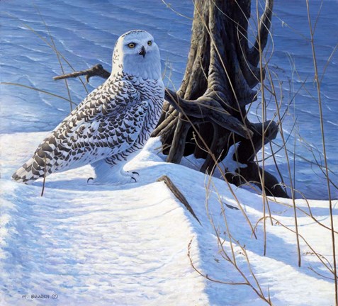 Framed Winter Snow Print