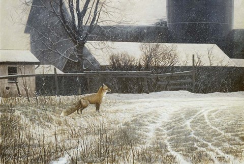 Framed Where Paths Cross Print