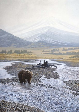 Framed Wilderness Walk Print