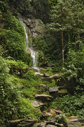 Framed ChiangMai 1 Print