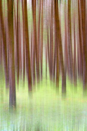 Framed Blurred Trees 2 Print