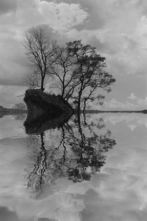 Framed Arboles en Agua 8 Print