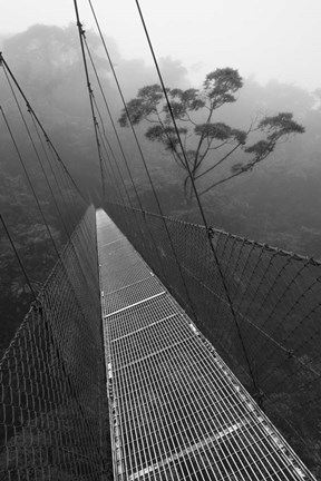 Framed Costa Rica 18 Print