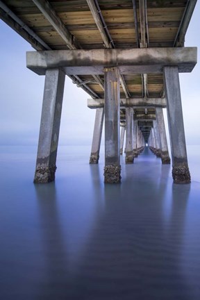 Framed Naples Pier Vertical Print