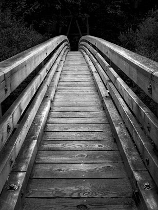 Framed Rumbo 1 Print